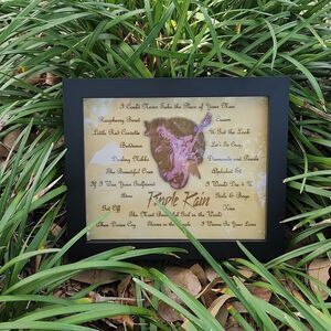 Shadowbox frame with engraved picture of Prince ( and songs )